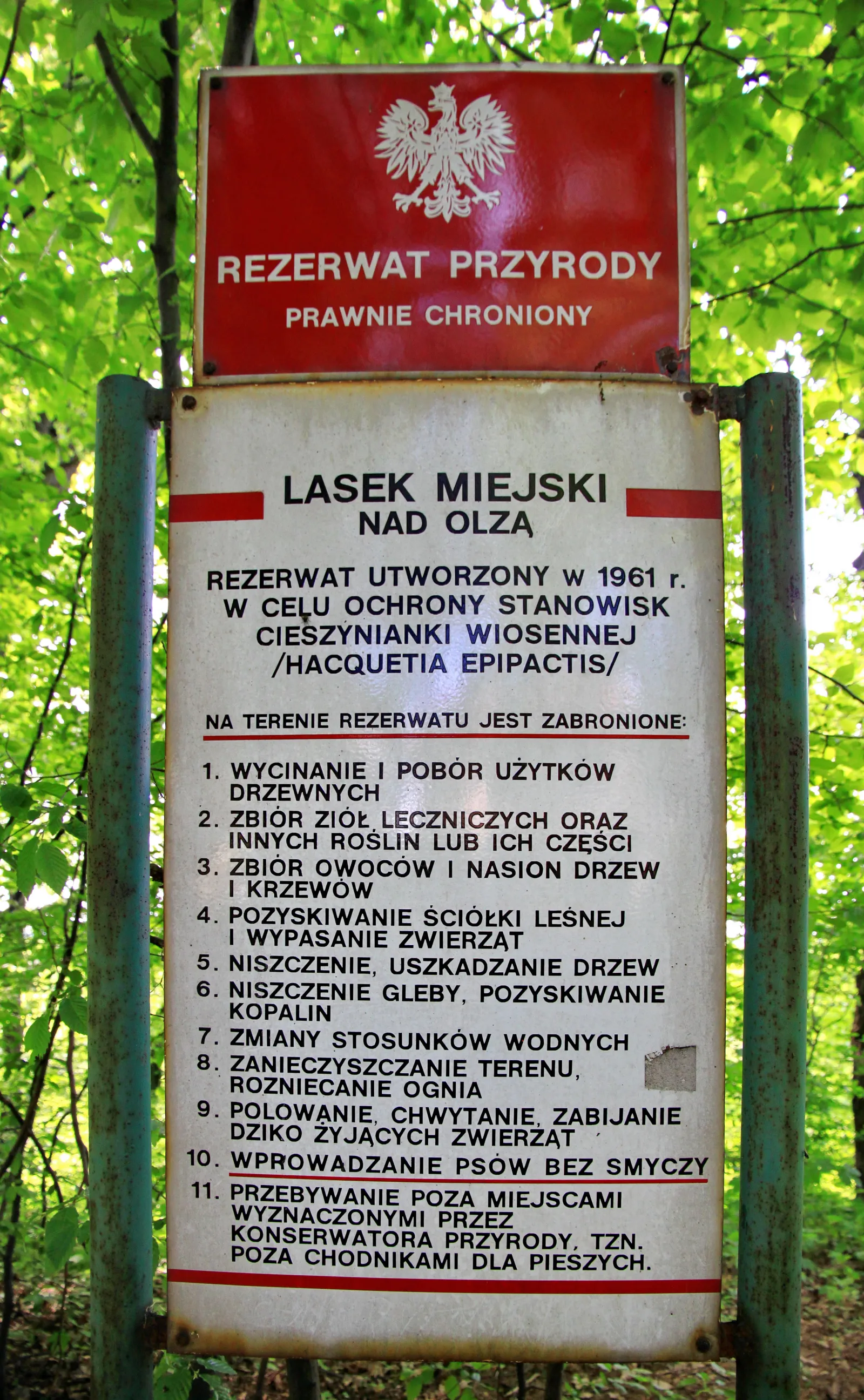 Rezerwat przyrody Lasek Miejski nad Olzą