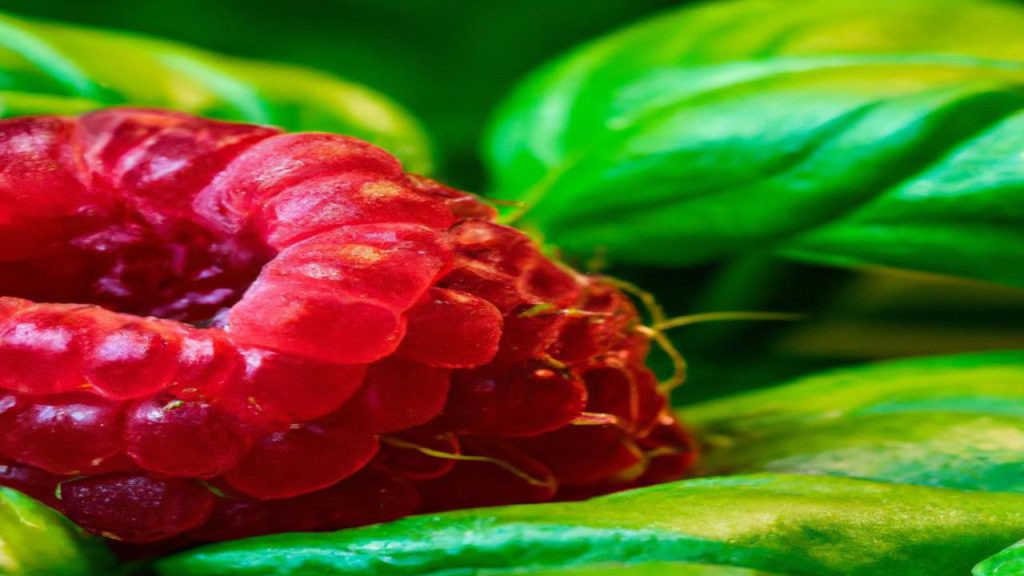 Co oznacza pierwiastek Rb?