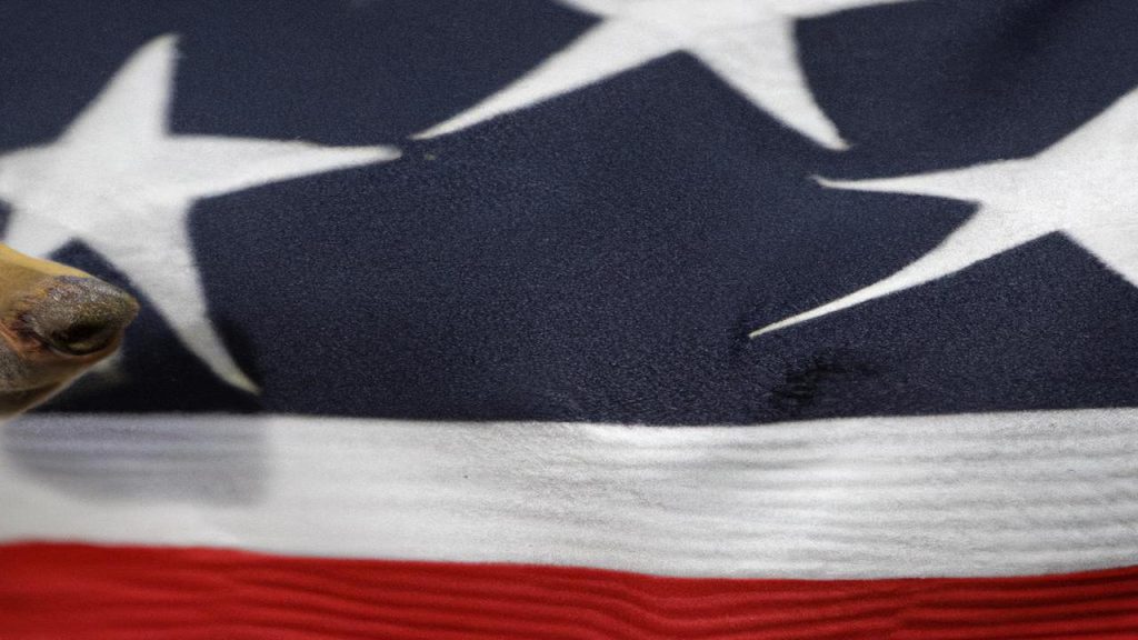 Ile Jest Gwiazdek Na Fladze Unii Ile jest gwiazdek na fladze USA i od czego wzięła się ta liczba?